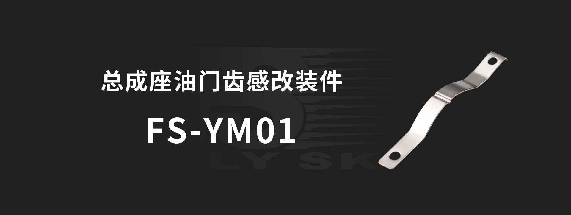 FS-YM01